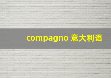 compagno 意大利语